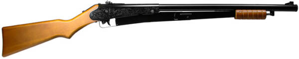 Daisy Model 25 Pump-Action BB Air Rifle By Airsports Gun India - Image 3